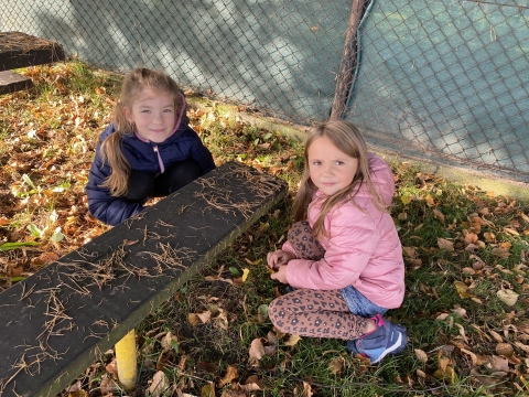 IMG_0632.JPEG